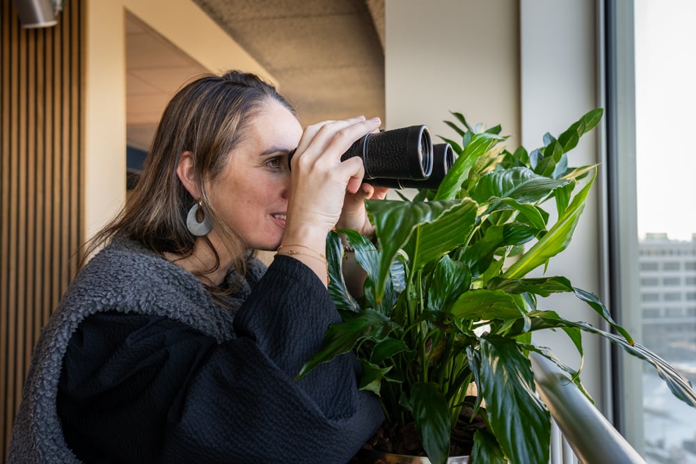 Stuur mij de tips →